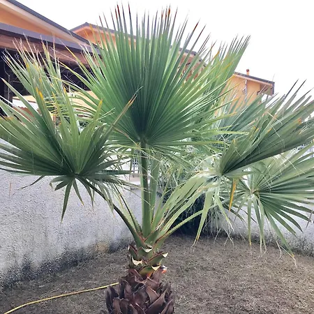 Giardino Mediterraneo Pizzo (Calabria)