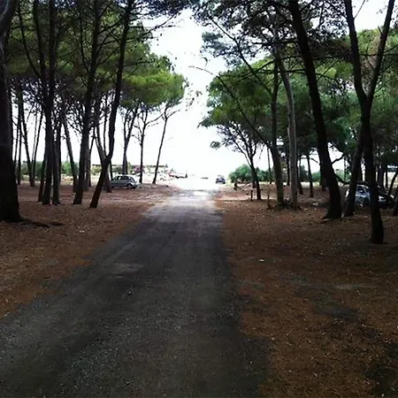 Giardino Mediterraneo Apartamento Pizzo (Calabria)